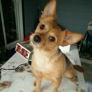 Meet your Posher, Eric